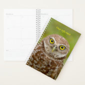 2024 Burrowing Owl Planner (Display)