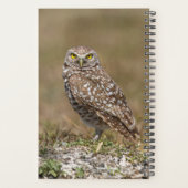 2024 Burrowing Owl Planner (Achterkant)