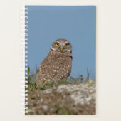2024 Burrowing Owl Planner (Voorkant)