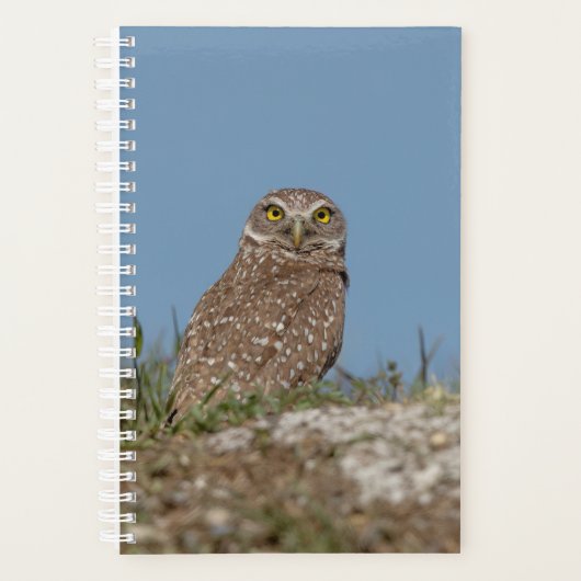 2024 Burrowing Owl Planner (Voorkant)