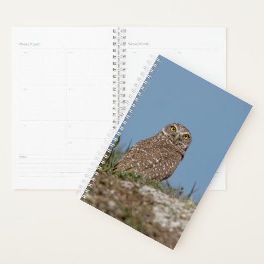 2024 Burrowing Owl Planner (Display)