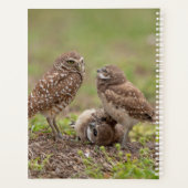 2024 Burrowing Uilen Planner (Achterkant)