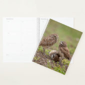 2024 Burrowing Uilen Planner (Display)