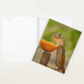 2024 Chipmunk in de Adirondacks Planner (Display)