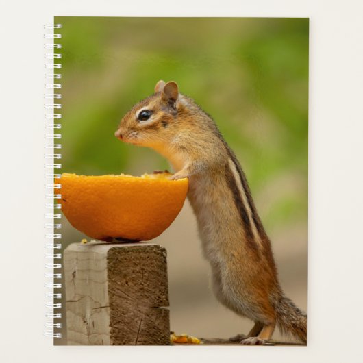 2024 Chipmunk in de Adirondacks Planner (Voorkant)