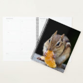 2024 Chipmunk in de Adirondacks Planner (Display)
