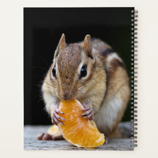 2024 Chipmunk in de Adirondacks Planner (Achterkant)