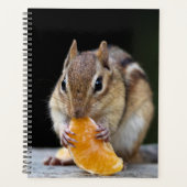 2024 Chipmunk in de Adirondacks Planner (Voorkant)
