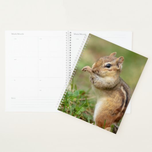 2024 Chipmunk in de Adirondacks Planner (Display)