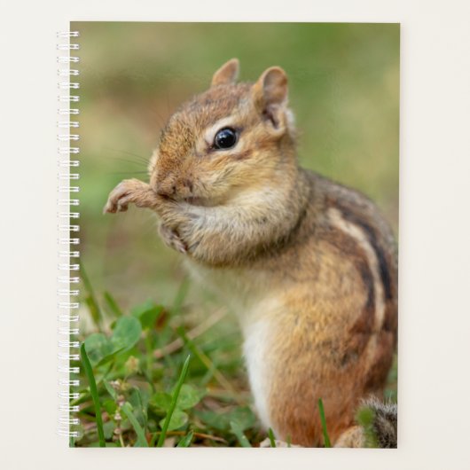 2024 Chipmunk in de Adirondacks Planner (Voorkant)