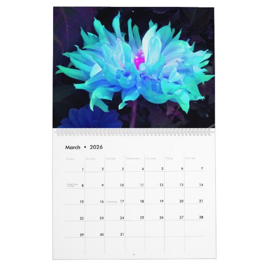 2024 Dahlia Bloemen Kalender (Mar 2026)