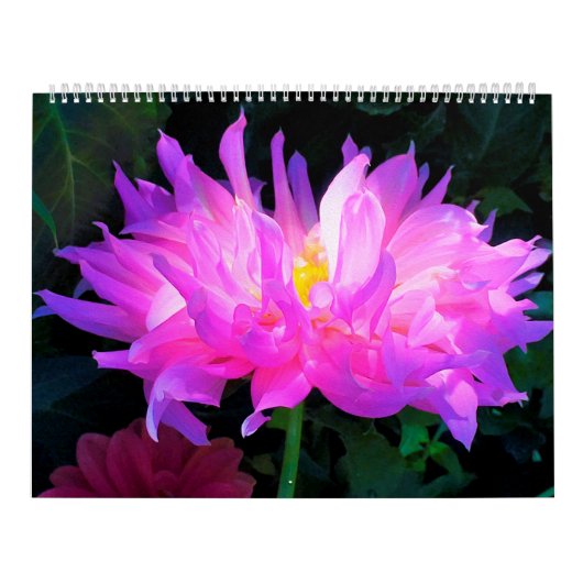 2024 Dahlia Bloemen Kalender (Hoes)