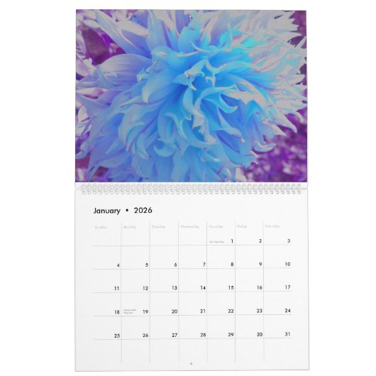 2024 Dahlia Bloemen Kalender (Jan 2026)