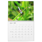 2024 Dragonfly Kalender (Mar 2027)