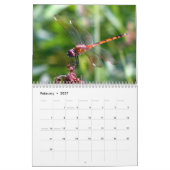 2024 Dragonfly Kalender (Feb 2027)