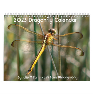 2024 Dragonfly Kalender