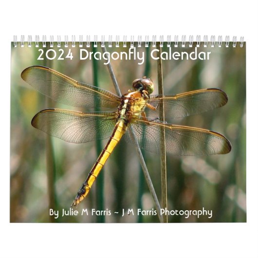 2024 Dragonfly Kalender (Hoes)