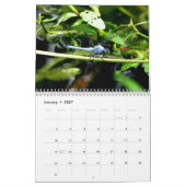 2024 Dragonfly Kalender (Jan 2027)
