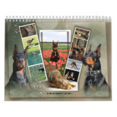 2024 DT-kalender Kalender (Hoes)