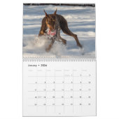 2024 DT-kalender Kalender (Jan 2026)