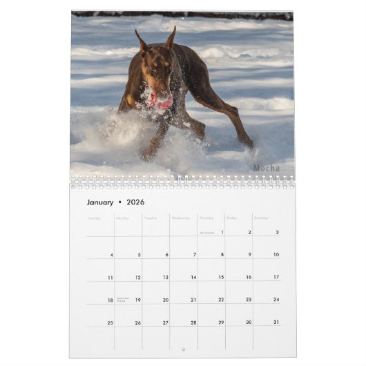 2024 DT-kalender Kalender (Jan 2026)