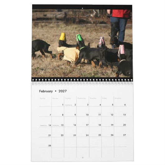 2024 DT-kalender Kalender (Feb 2027)