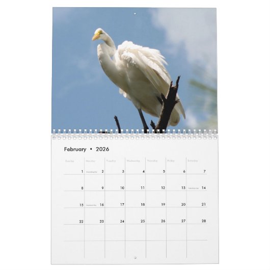 2024 Egrets & Herons Kalender (Feb 2026)