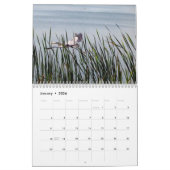 2024 Egrets & Herons Kalender (Jan 2026)