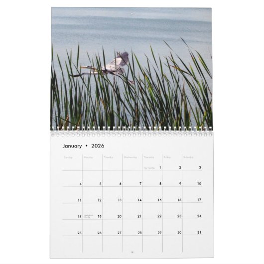 2024 Egrets & Herons Kalender (Jan 2026)