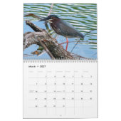 2024 Egrets & Herons Kalender (Mar 2027)
