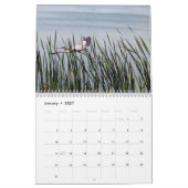 2024 Egrets & Herons Kalender (Jan 2027)