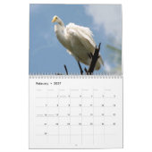 2024 Egrets & Herons Kalender (Feb 2027)
