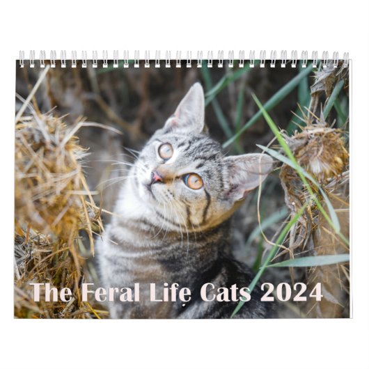 2024 Feral Life 2024 Mooie Natuurlijke Katten Kalender (Hoes)