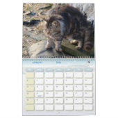 2024 Feral Life 2024 Mooie Natuurlijke Katten Kalender (Jan 2026)