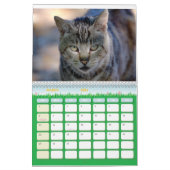 2024 Feral Life 2024 Mooie Natuurlijke Katten Kalender (Mar 2026)