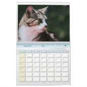 2024 Feral Life 2024 Mooie Natuurlijke Katten Kalender (Feb 2026)