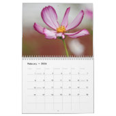 2024 Fotografie Kalender (Feb 2026)