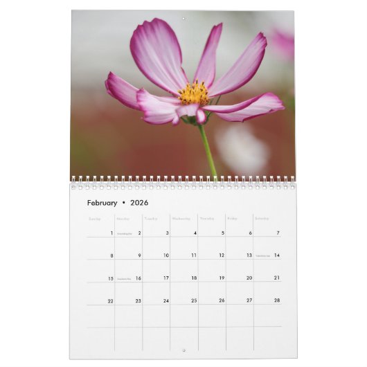 2024 Fotografie Kalender (Feb 2026)