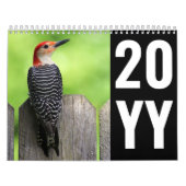2024 Fotografie Kalender (Hoes)
