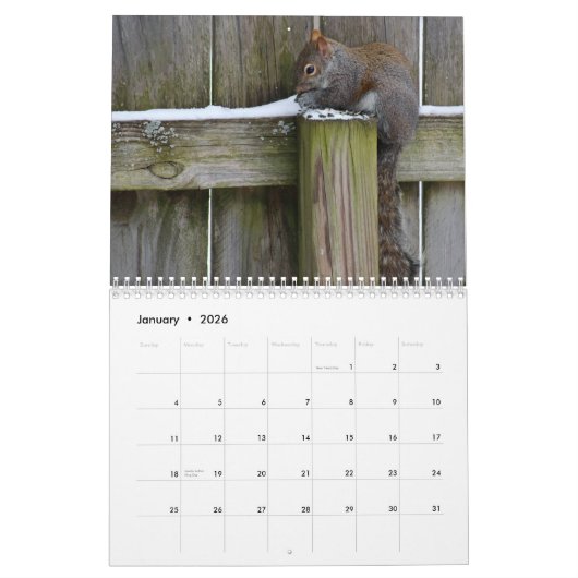 2024 Fotografie Kalender (Jan 2026)