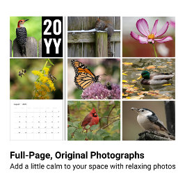 2024 Fotografie Kalender