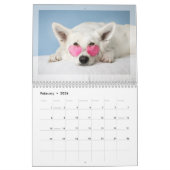 2024 Fotokalender: Bont baby's, huisdieren, katten Kalender (Feb 2026)
