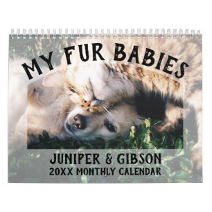 2024 Fotokalender: Bont baby's, huisdieren, katten Kalender