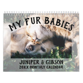 2024 Fotokalender: Bont baby's, huisdieren, katten Kalender