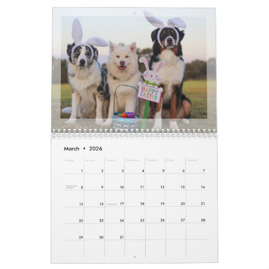 2024 Fotokalender: Bontbaby's, Huisdieren, Honden, Kalender (Mar 2026)