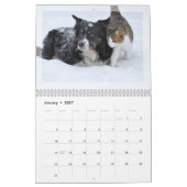 2024 Fotokalender: Bontbaby's, Huisdieren, Honden, Kalender (Jan 2027)
