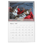 2024 Fotokalender: Bontbaby's, Huisdieren, Honden, Kalender (Feb 2027)