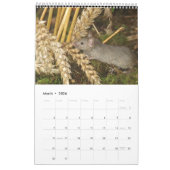 2024 George de muis in een stapelhuis nieuw Kalender (Mar 2026)