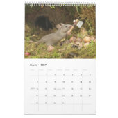 2024 George de muiskalender 24 Kalender (Mar 2027)