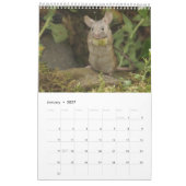 2024 George de muiskalender 24 Kalender (Jan 2027)